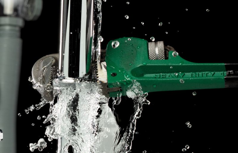 Repaired Leak Systems