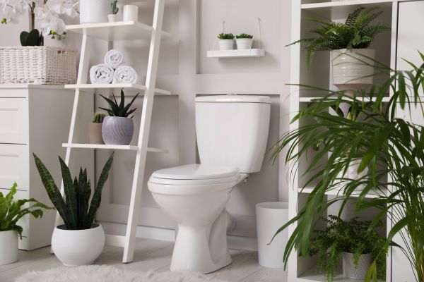 Cost of Toilet Repair in Issaquah