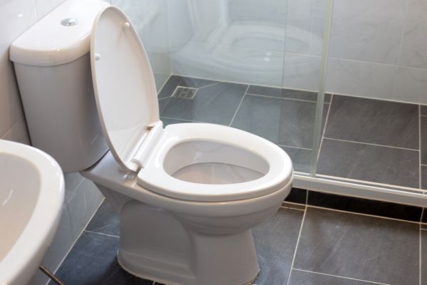 Cost of Toilet Replacement in Issaquah