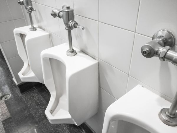 Cost of Urinal Installation in Issaquah
