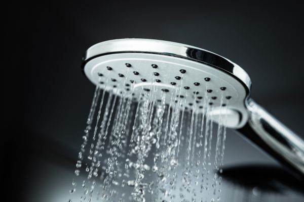 Cost of Shower Head Replacement in Issaquah