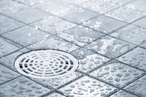 Cost of Shower Drain Repair in Issaquah