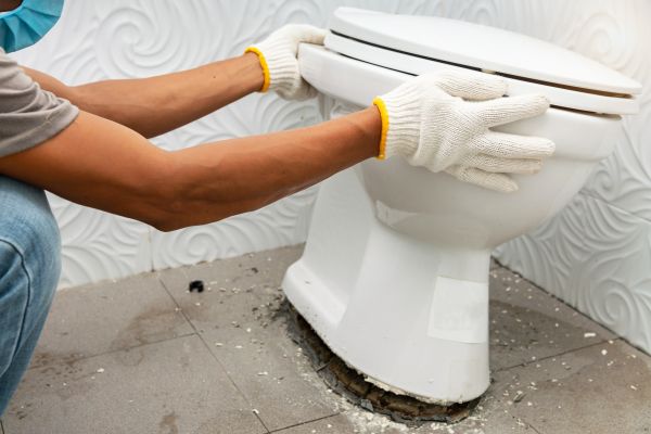 Cost of Toilet Removal in Issaquah