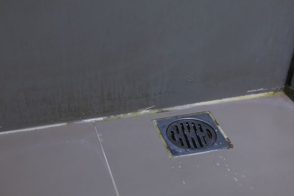 Cost of Bathroom Drain Installation in Issaquah