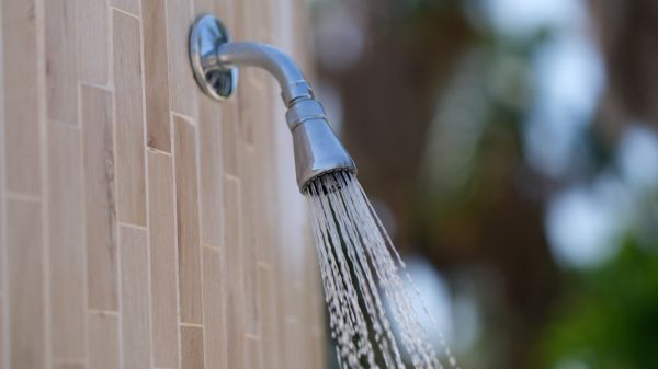 Cost of Showerhead Repair in Issaquah