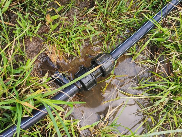 Cost of Water Pipe Leak Detection in Issaquah