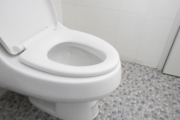 Cost of New Toilet Installation in Issaquah