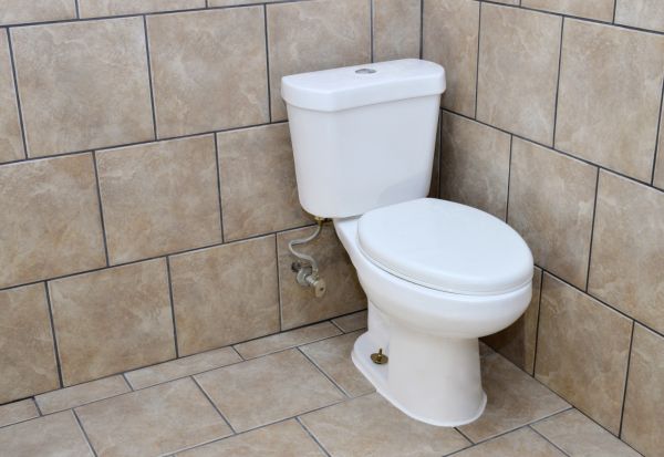 Cost of Basement Toilet Installation in Issaquah